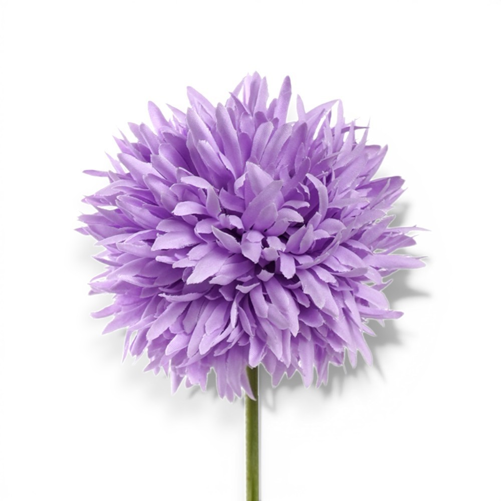 ALLIUM CM.45 PURPLE